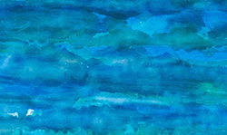 Wild Blue